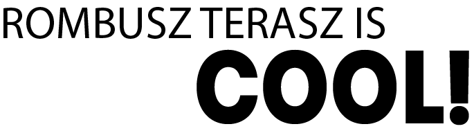 5425aaf8b6ef6ae411aaea72_rombusz_cool-03.png